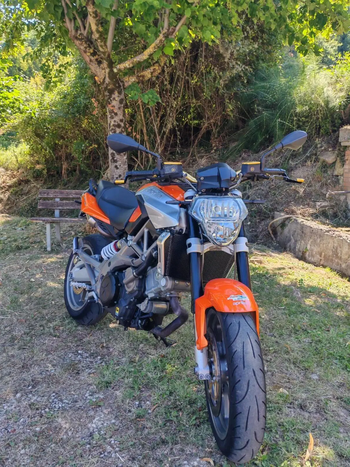 Aprilia Shiver 750 (2008 - 10) (4)