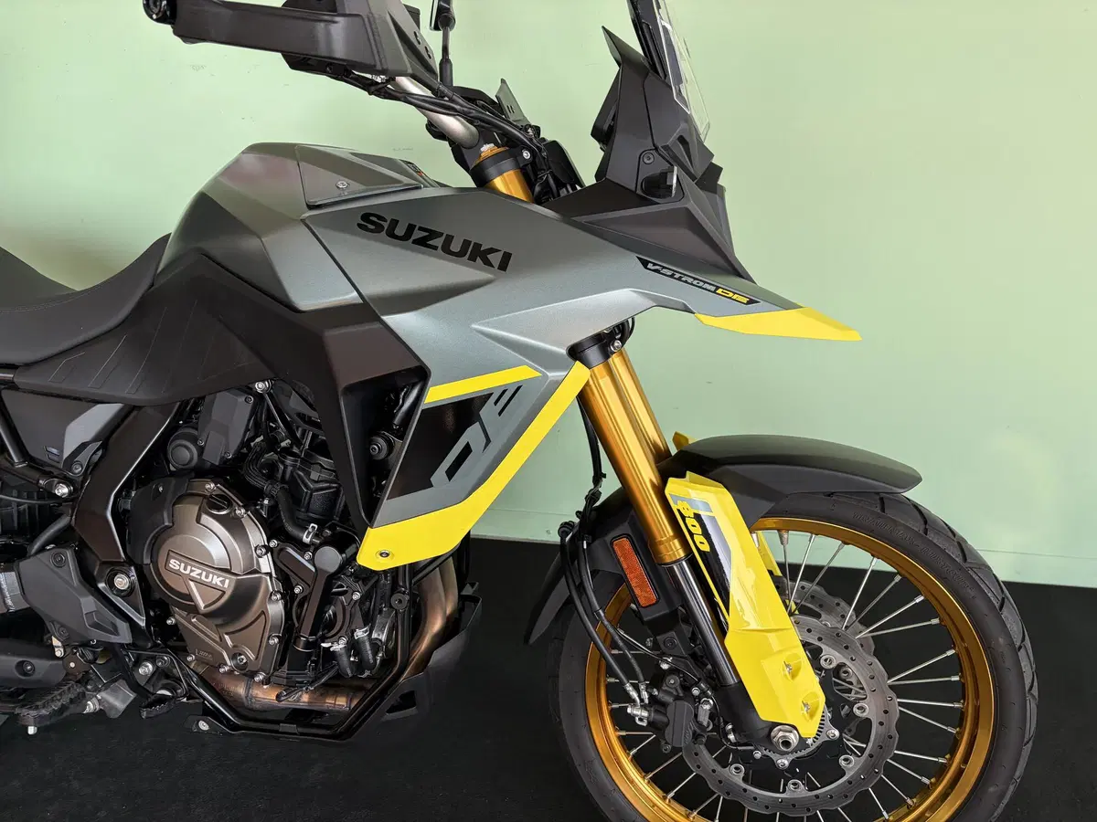 Suzuki V-Strom 800DE (2023 - 24) (9)