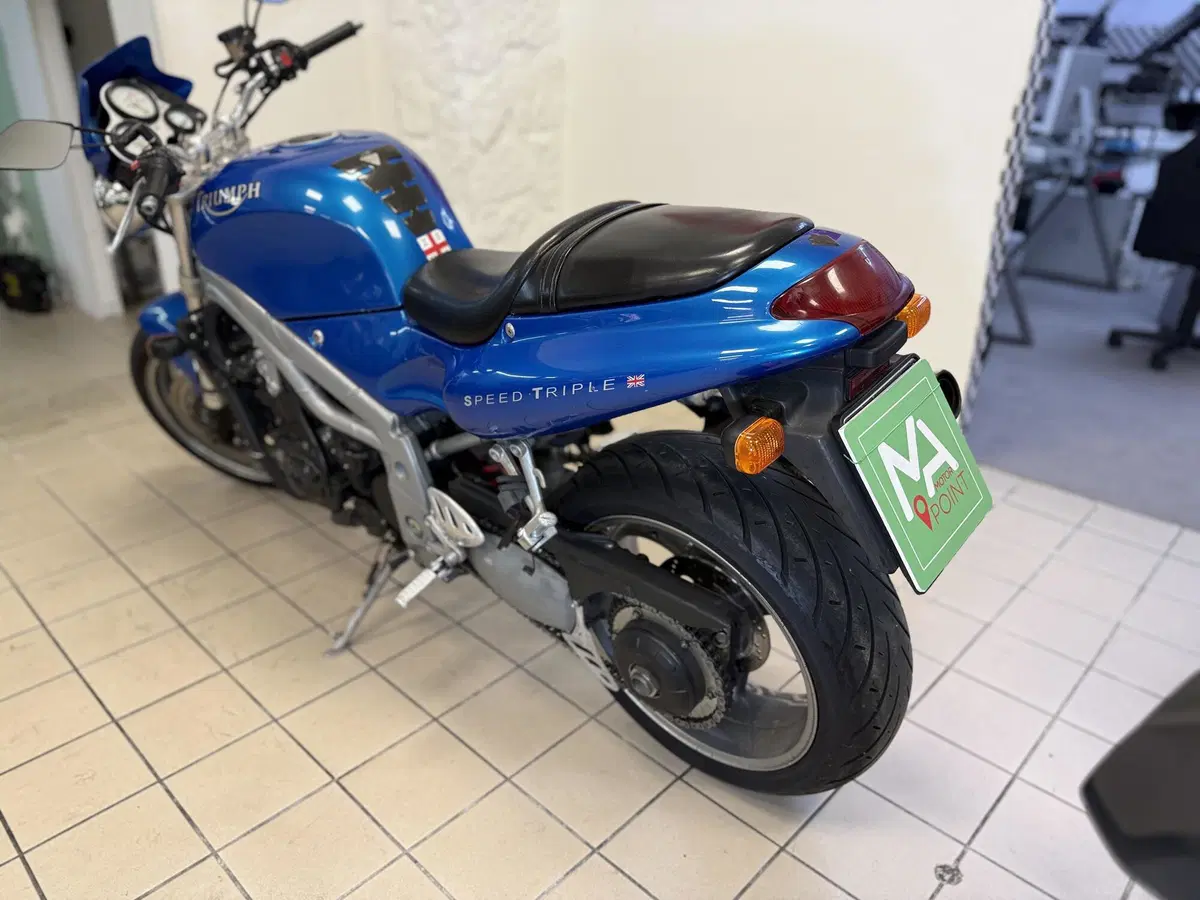 Triumph Speed Triple 955 (1998 - 01) (4)