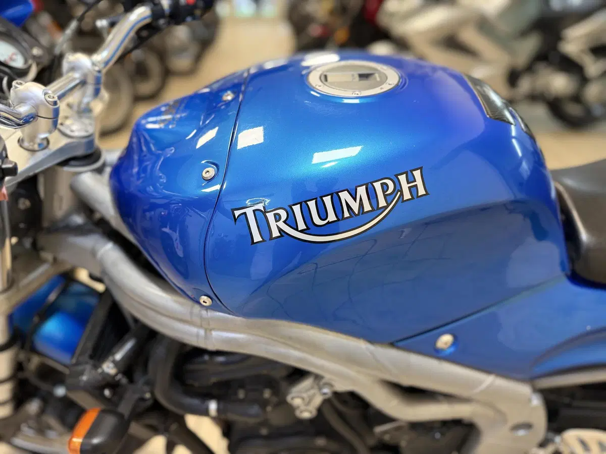 Triumph Speed Triple 955 (1998 - 01) (6)