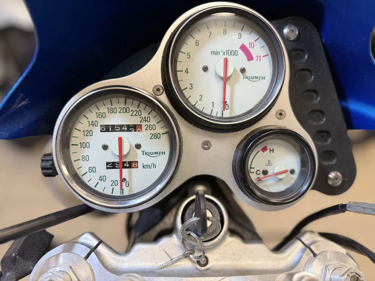 Triumph Speed Triple 955 (1998 - 01) (7)