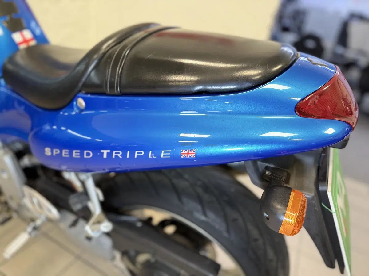 Triumph Speed Triple 955 (1998 - 01) (8)