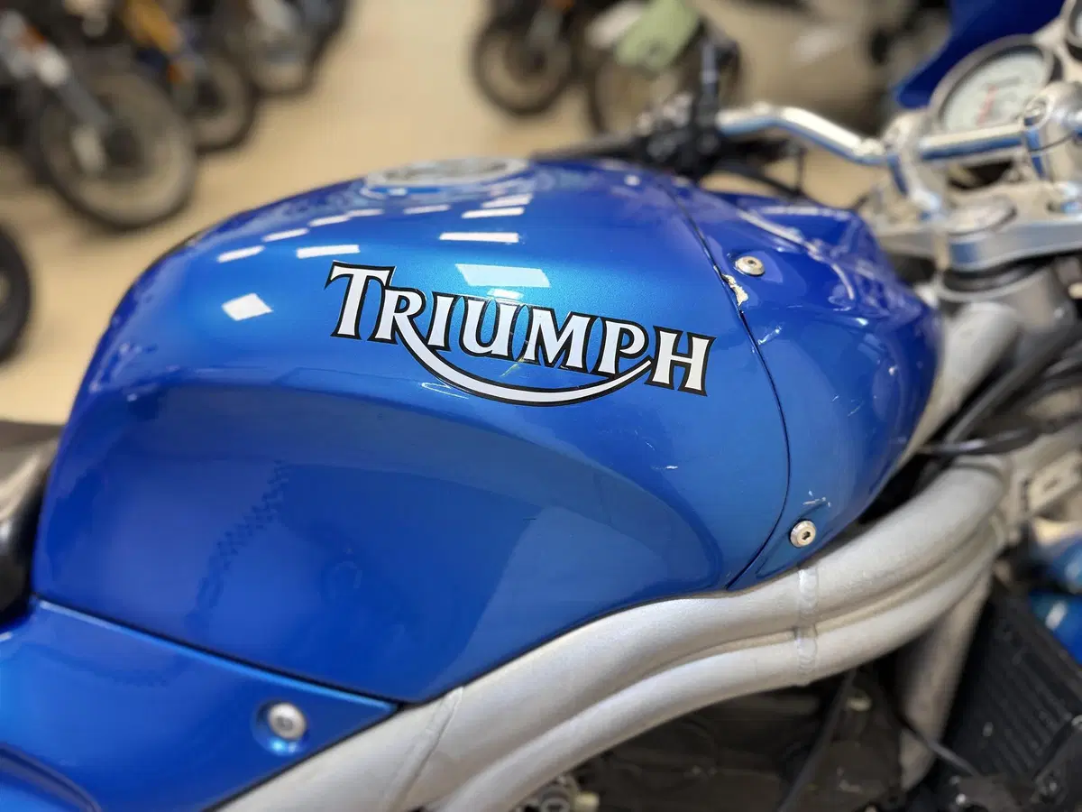 Triumph Speed Triple 955 (1998 - 01) (9)