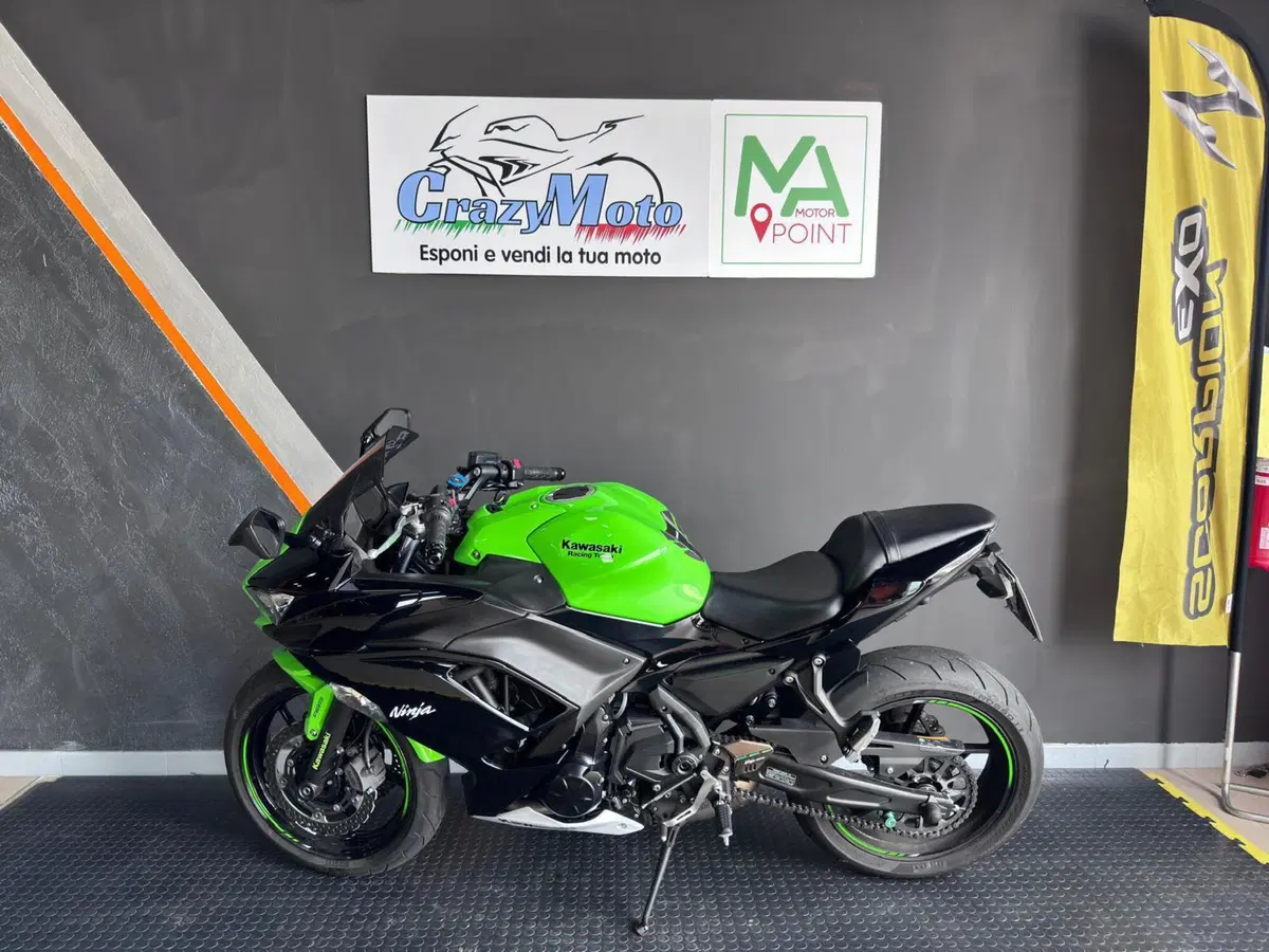 Kawasaki Ninja 650 Performance (2021 - 24) (2)