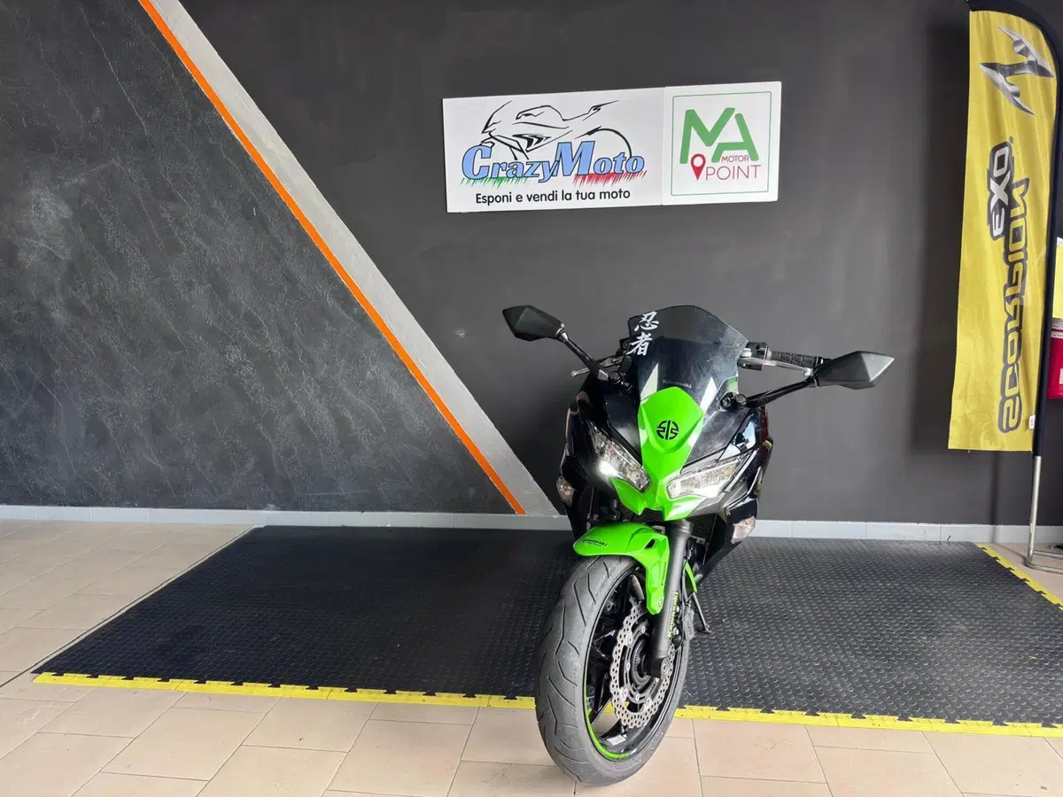 Kawasaki Ninja 650 Performance (2021 - 24) (3)