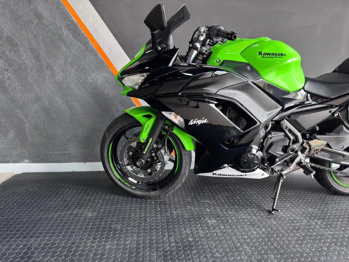 Kawasaki Ninja 650 Performance (2021 - 24) (4)