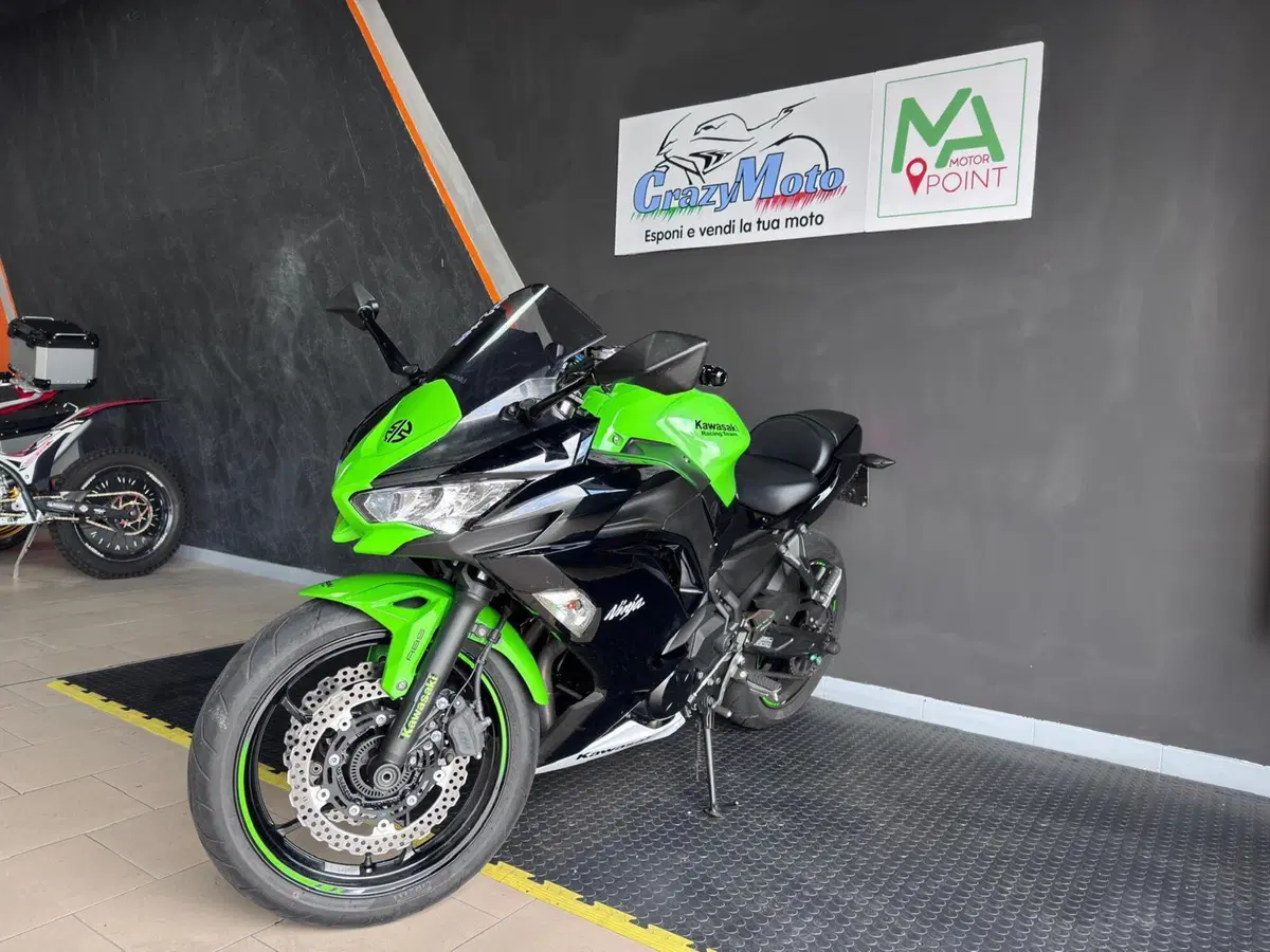 Kawasaki Ninja 650 Performance (2021 - 24) (7)
