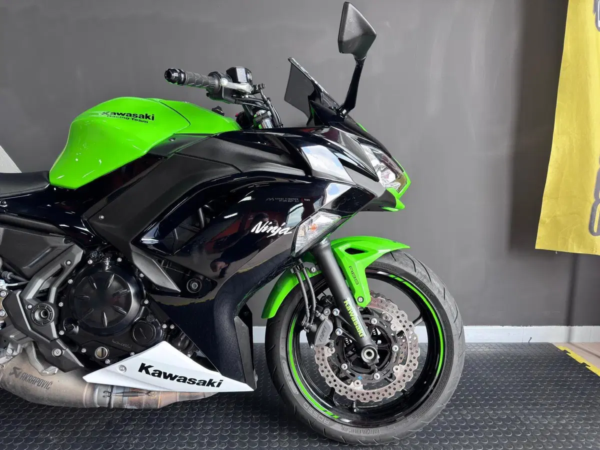 Kawasaki Ninja 650 Performance (2021 - 24) (8)