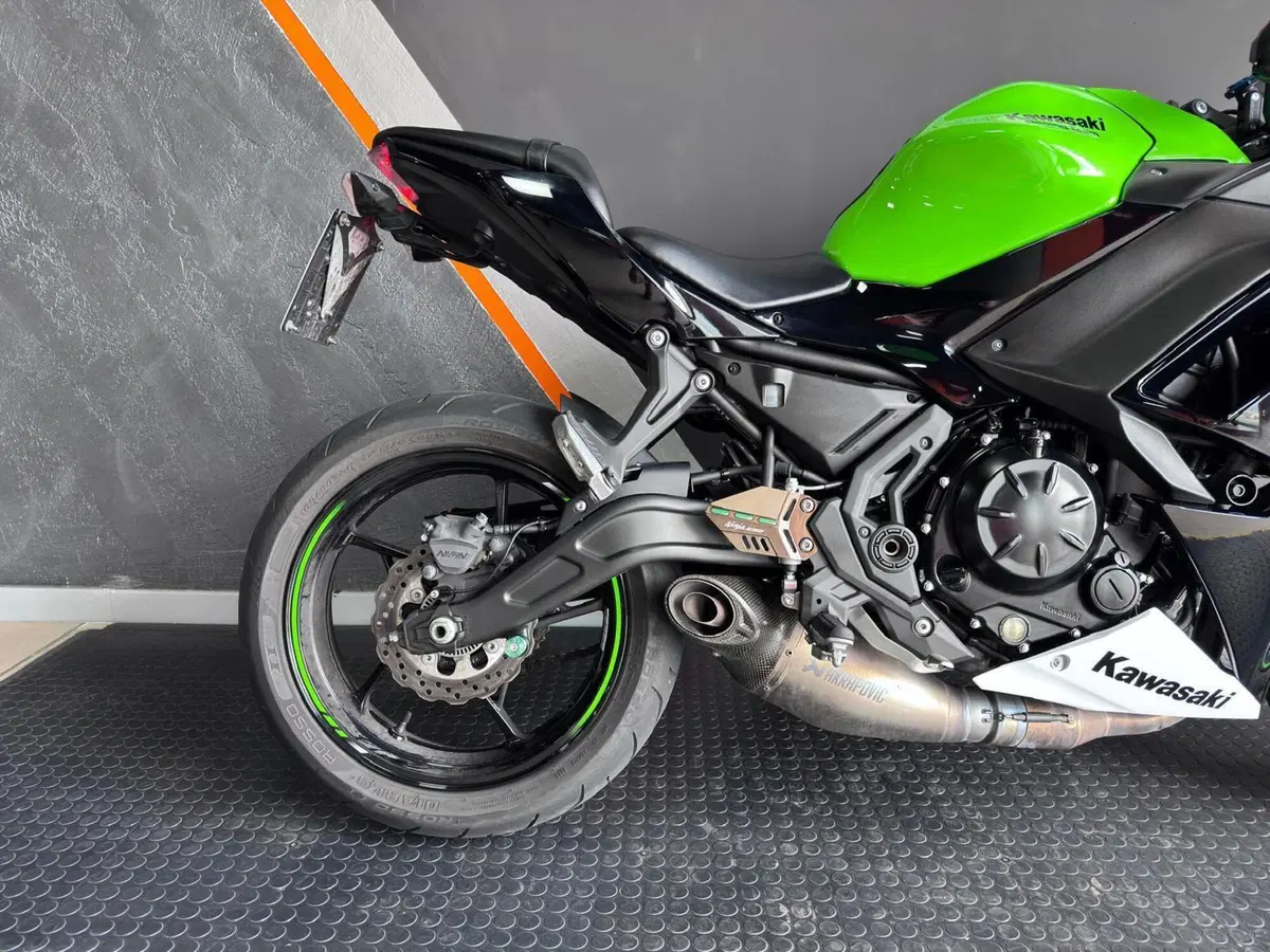Kawasaki Ninja 650 Performance (2021 - 24) (9)