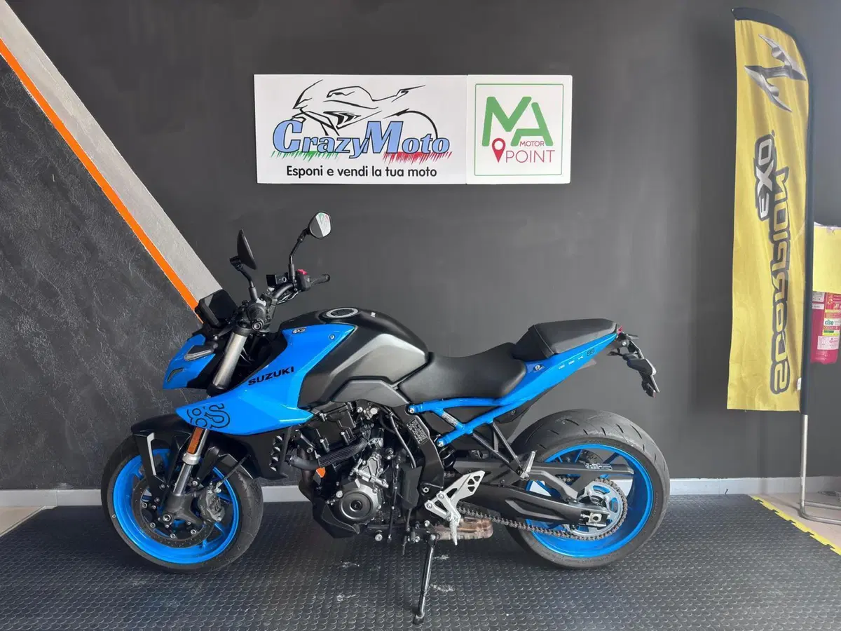 Suzuki GSX-8S (2023 - 24) (2)