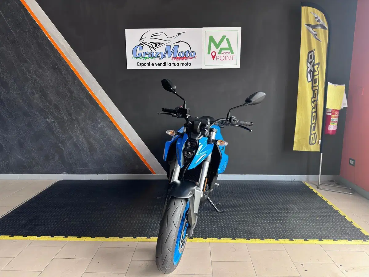 Suzuki GSX-8S (2023 - 24) (3)