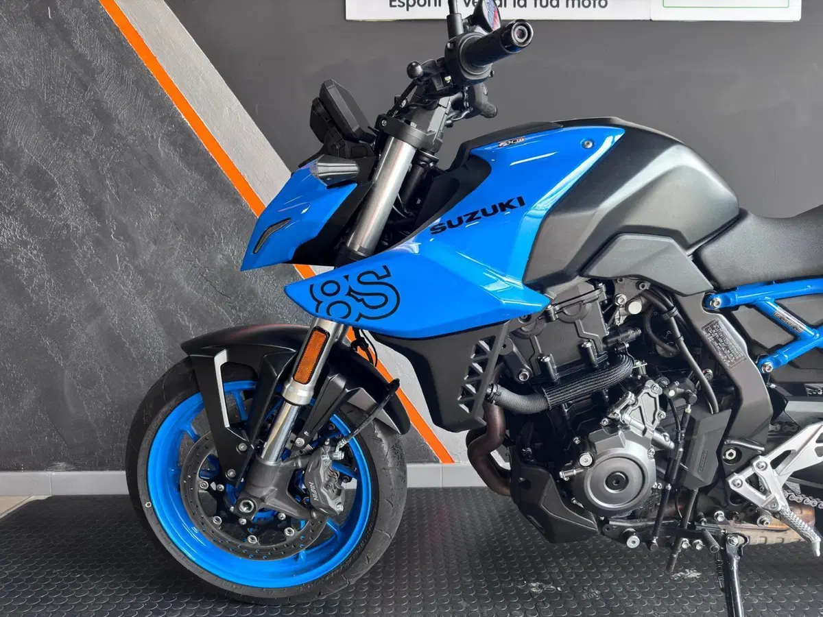 Suzuki GSX-8S (2023 - 24) (6)