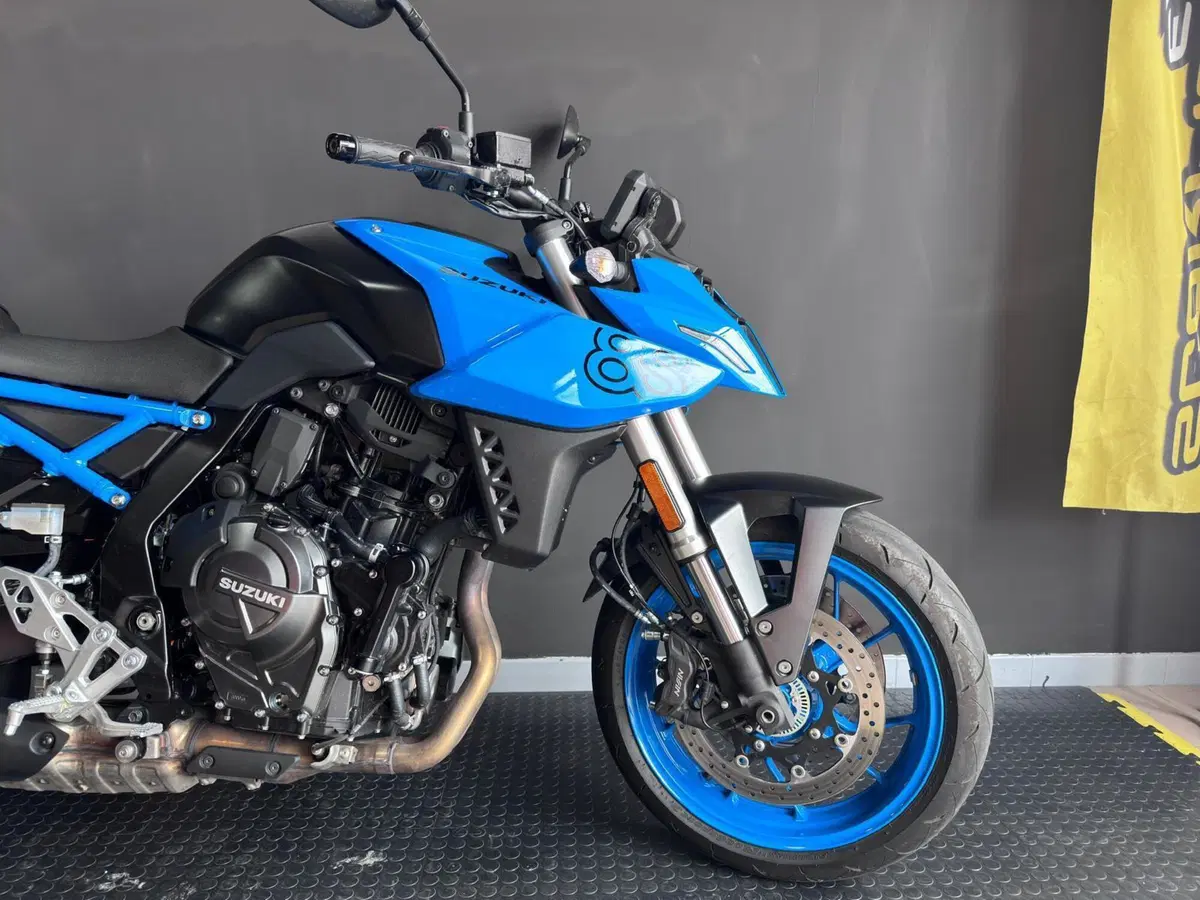 Suzuki GSX-8S (2023 - 24) (8)
