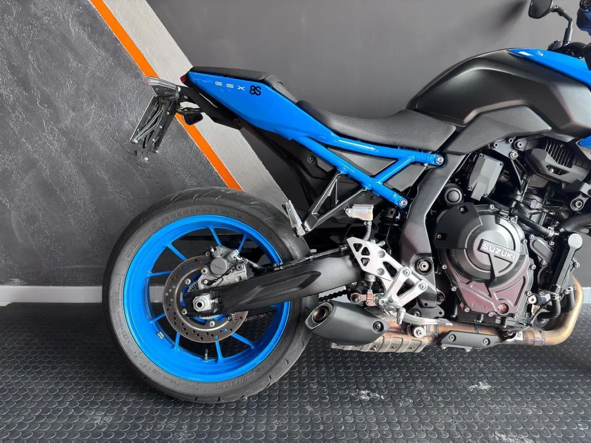 Suzuki GSX-8S (2023 - 24) (9)