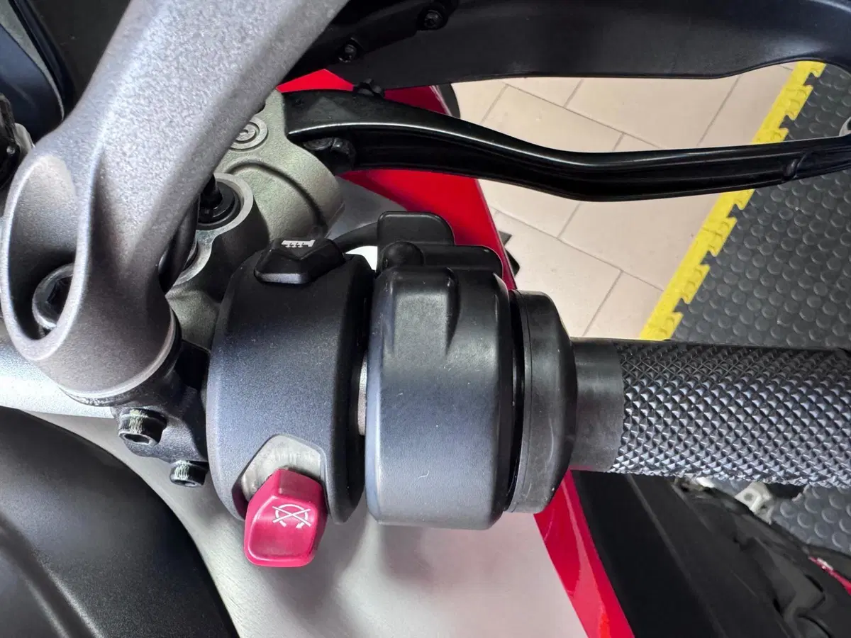 Ducati Multistrada V4 Rally (2023 - 25) (9)