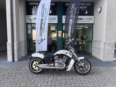 Harley-Davidson 1250 V-Rod (2008 - 12) - VRSCAW usata