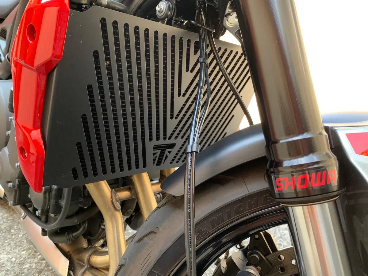 Triumph Trident 660 (2021 - 24) (12)