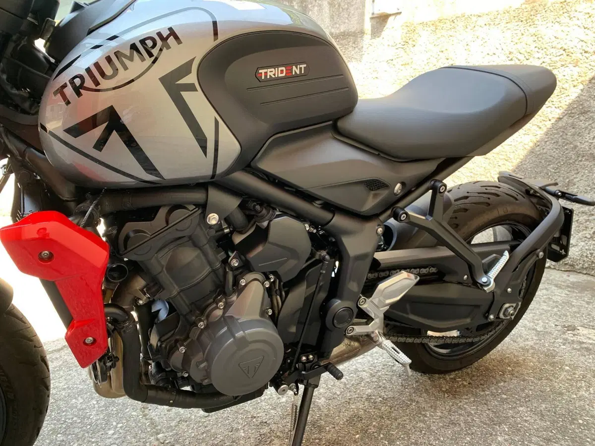 Triumph Trident 660 (2021 - 24) (6)