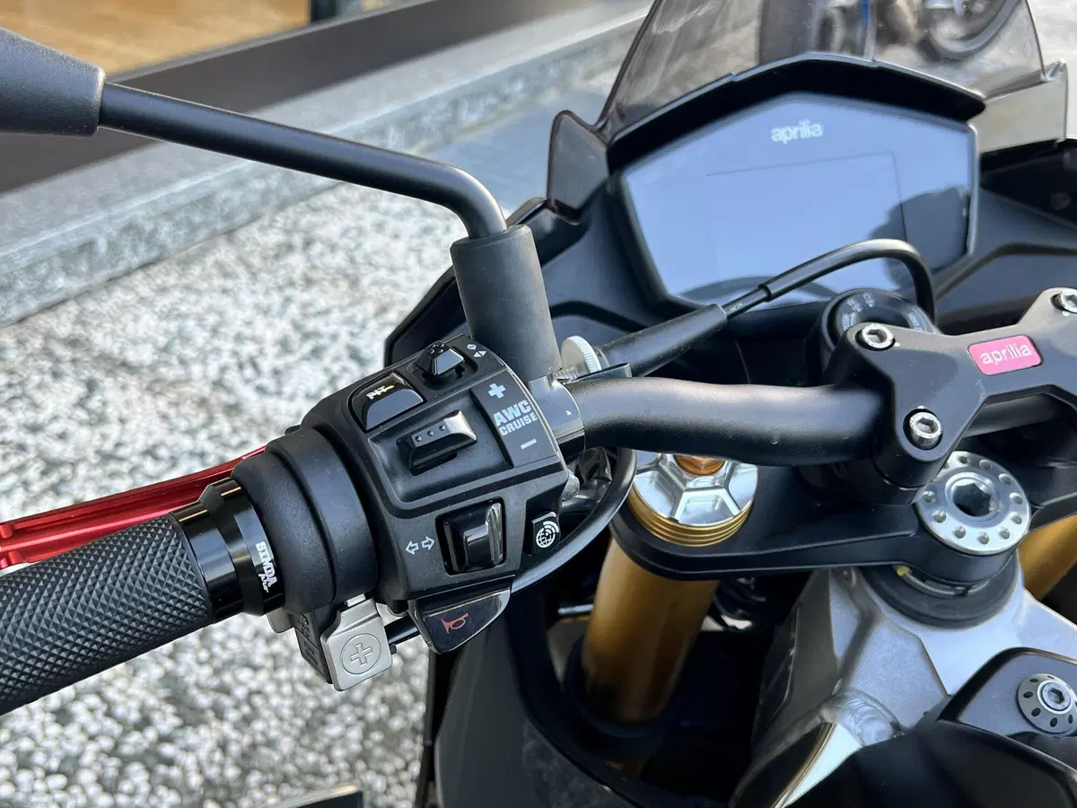 Aprilia Tuono V4 RR (2019 - 20) (8)