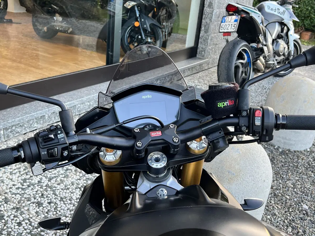 Aprilia Tuono V4 RR (2019 - 20) (9)