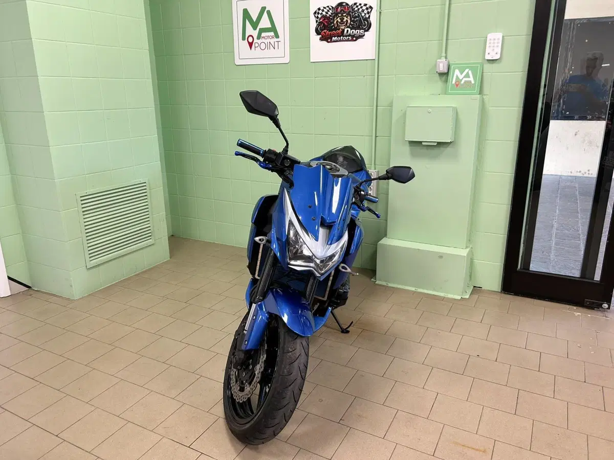Kawasaki Z 800 ABS (2012 - 16) (9)