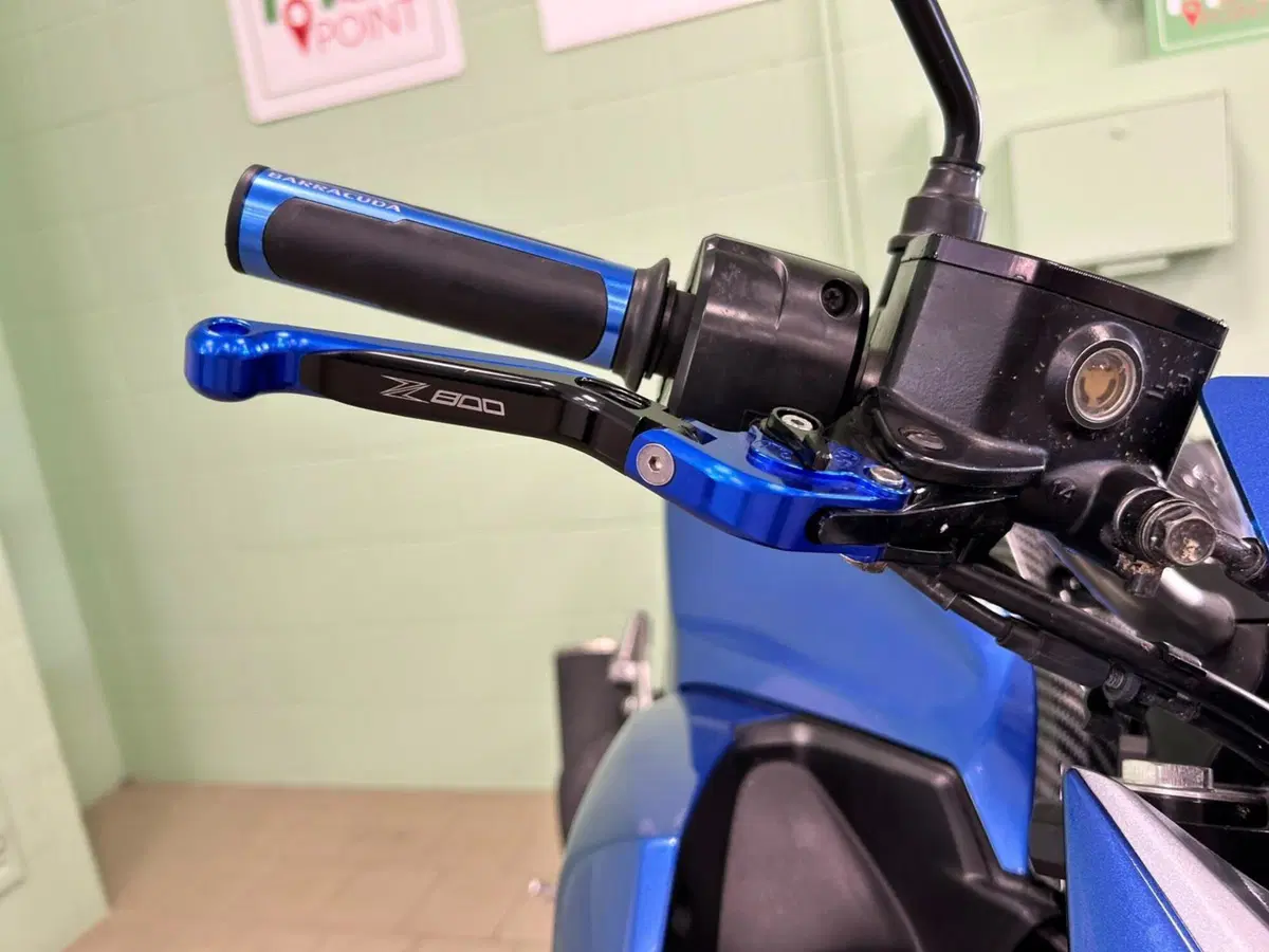 Kawasaki Z 800 ABS (2012 - 16) (13)