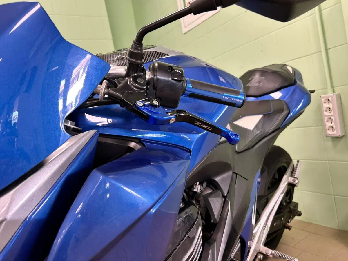 Kawasaki Z 800 ABS (2012 - 16) (16)