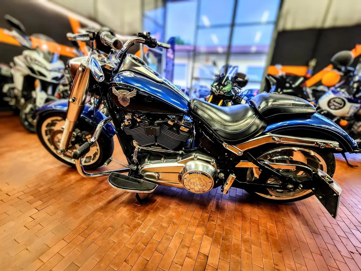 Harley-Davidson 114 Fat Boy (2018 - 20) - FLFBS (2)