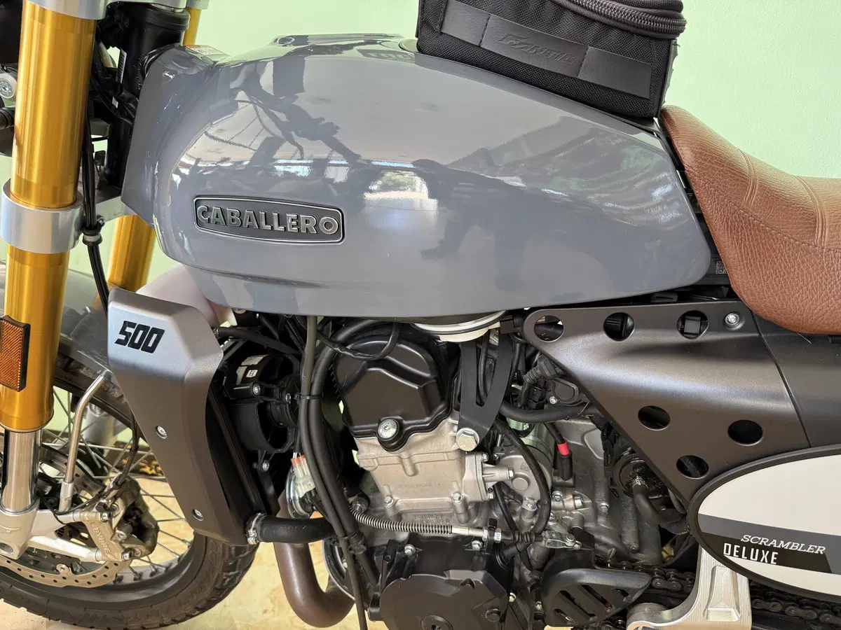 Fantic Motor Caballero 500 Scrambler Deluxe (2021 - 23) (6)