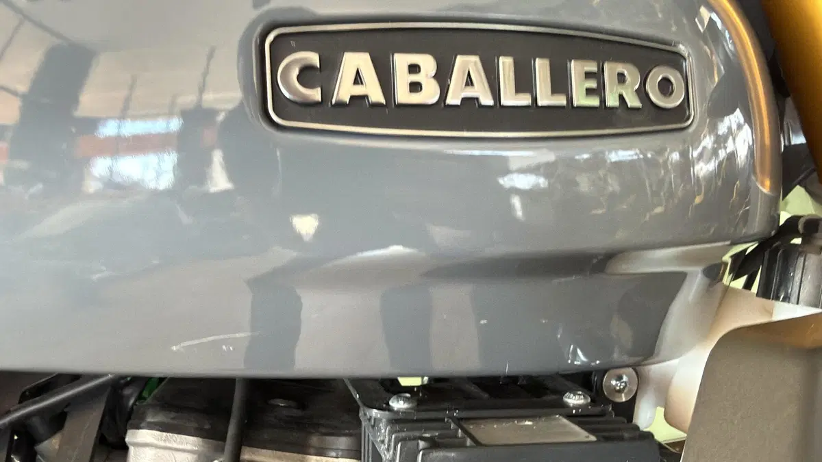 Fantic Motor Caballero 500 Scrambler Deluxe (2021 - 23) (14)