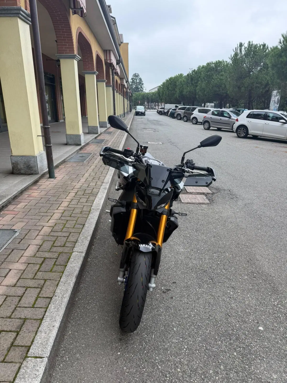 Yamaha MT-09 SP (2024 - 26) (3)
