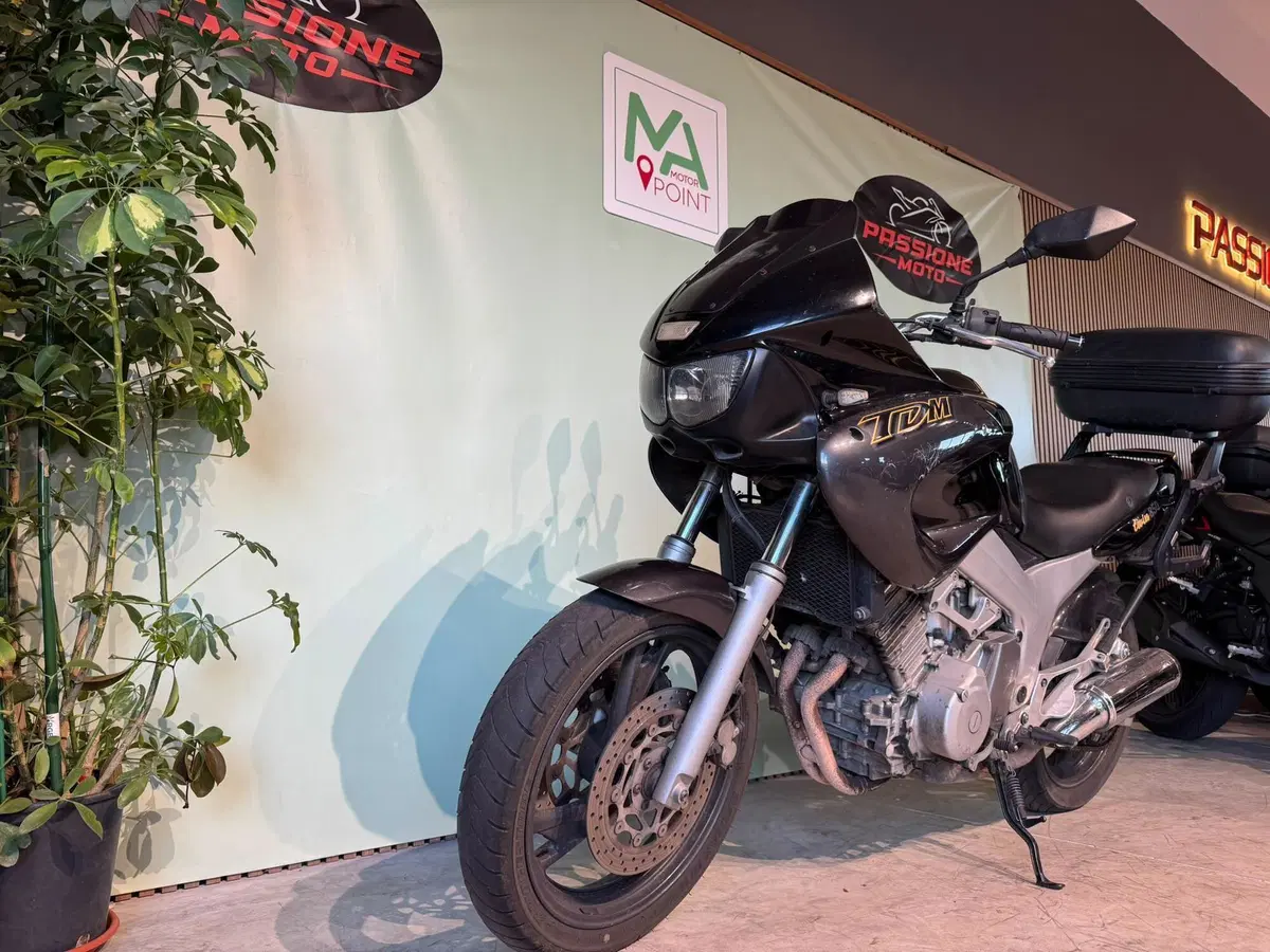Yamaha TDM 850 (1996 - 01) (2)