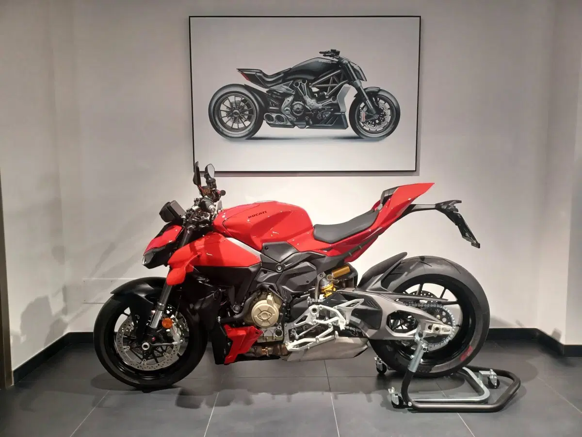 Ducati Streetfighter V4 (2025 - 26) (2)
