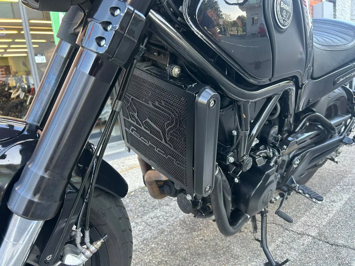 Benelli Leoncino 500 ABS (2017 - 20) (7)