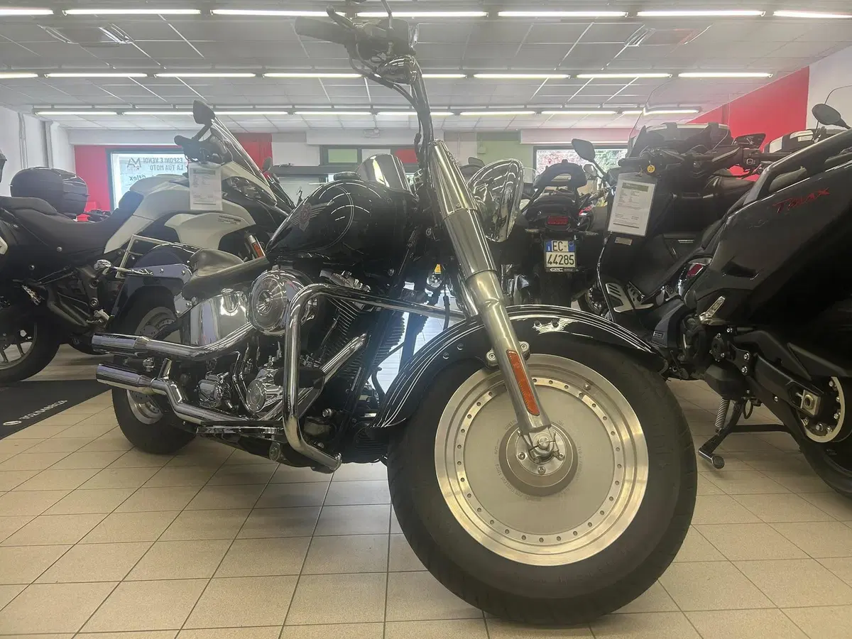 Harley-Davidson 1450 Fat Boy (2003 - 06) - FLSTFI (3)