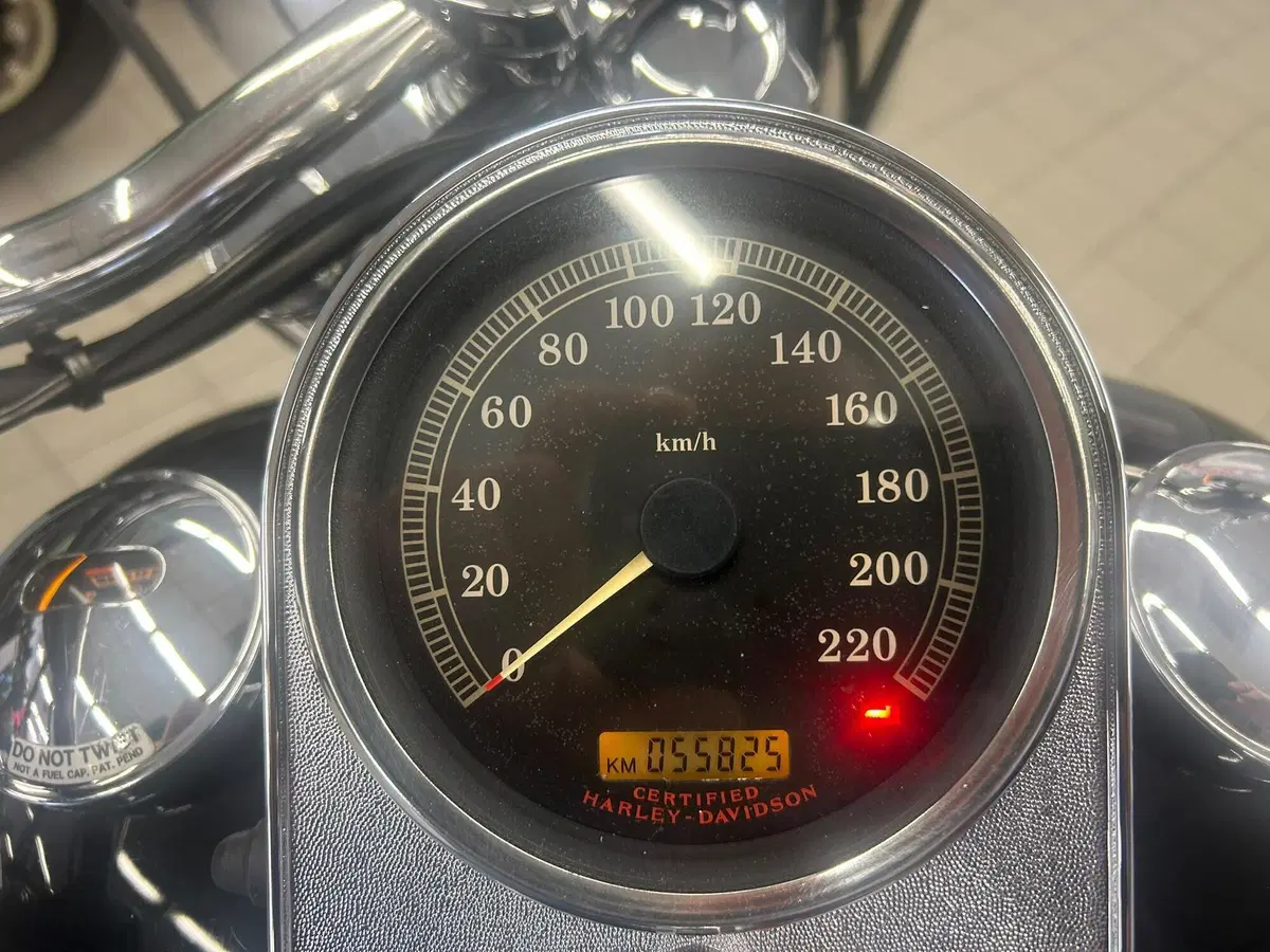 Harley-Davidson 1450 Fat Boy (2003 - 06) - FLSTFI (11)
