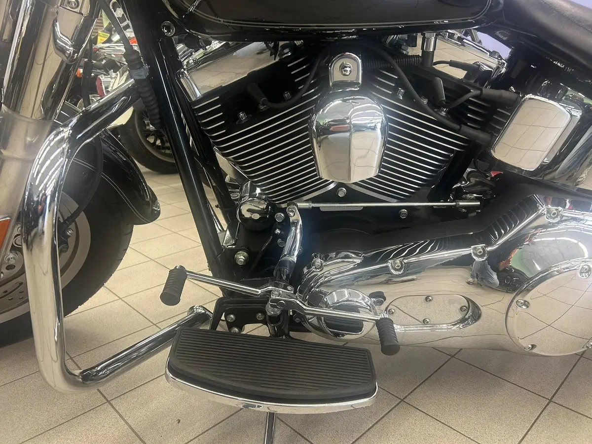 Harley-Davidson 1450 Fat Boy (2003 - 06) - FLSTFI (12)