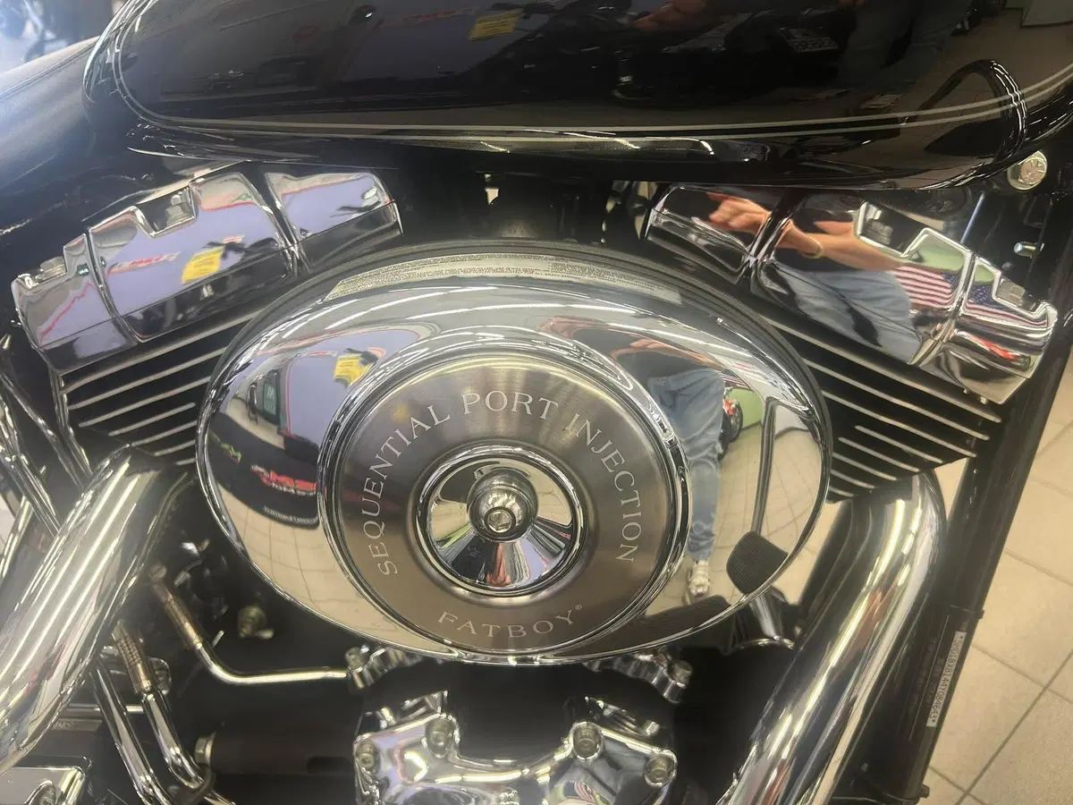 Harley-Davidson 1450 Fat Boy (2003 - 06) - FLSTFI (18)