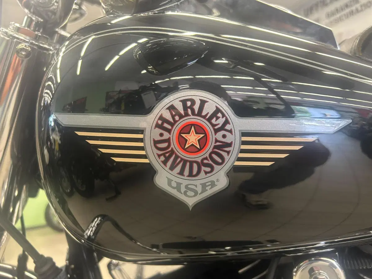 Harley-Davidson 1450 Fat Boy (2003 - 06) - FLSTFI (20)