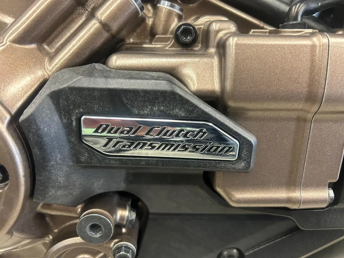 Honda Africa Twin CRF 1100L Adventure Sports Travel Edition DCT (2020 - 21) (9)