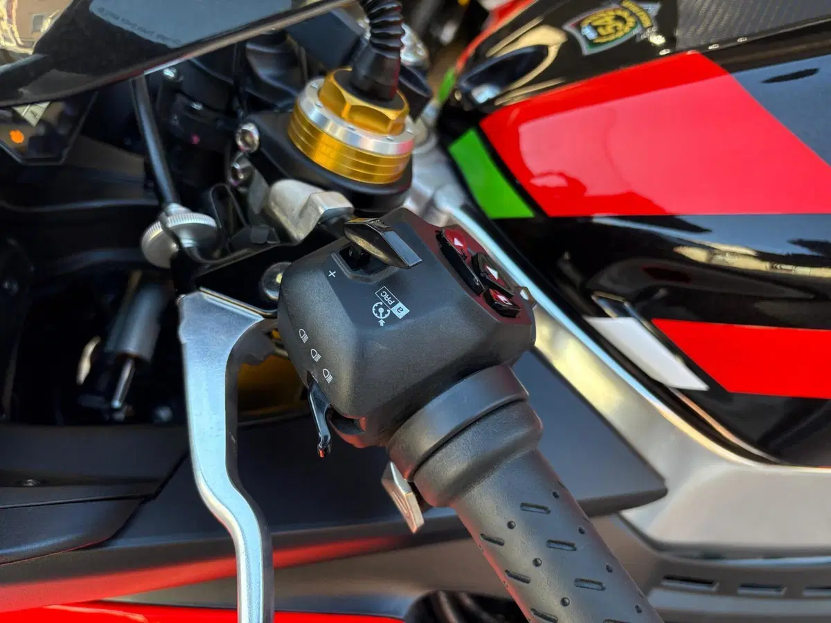 Aprilia RSV4 1100 Factory (2021 - 24) (14)