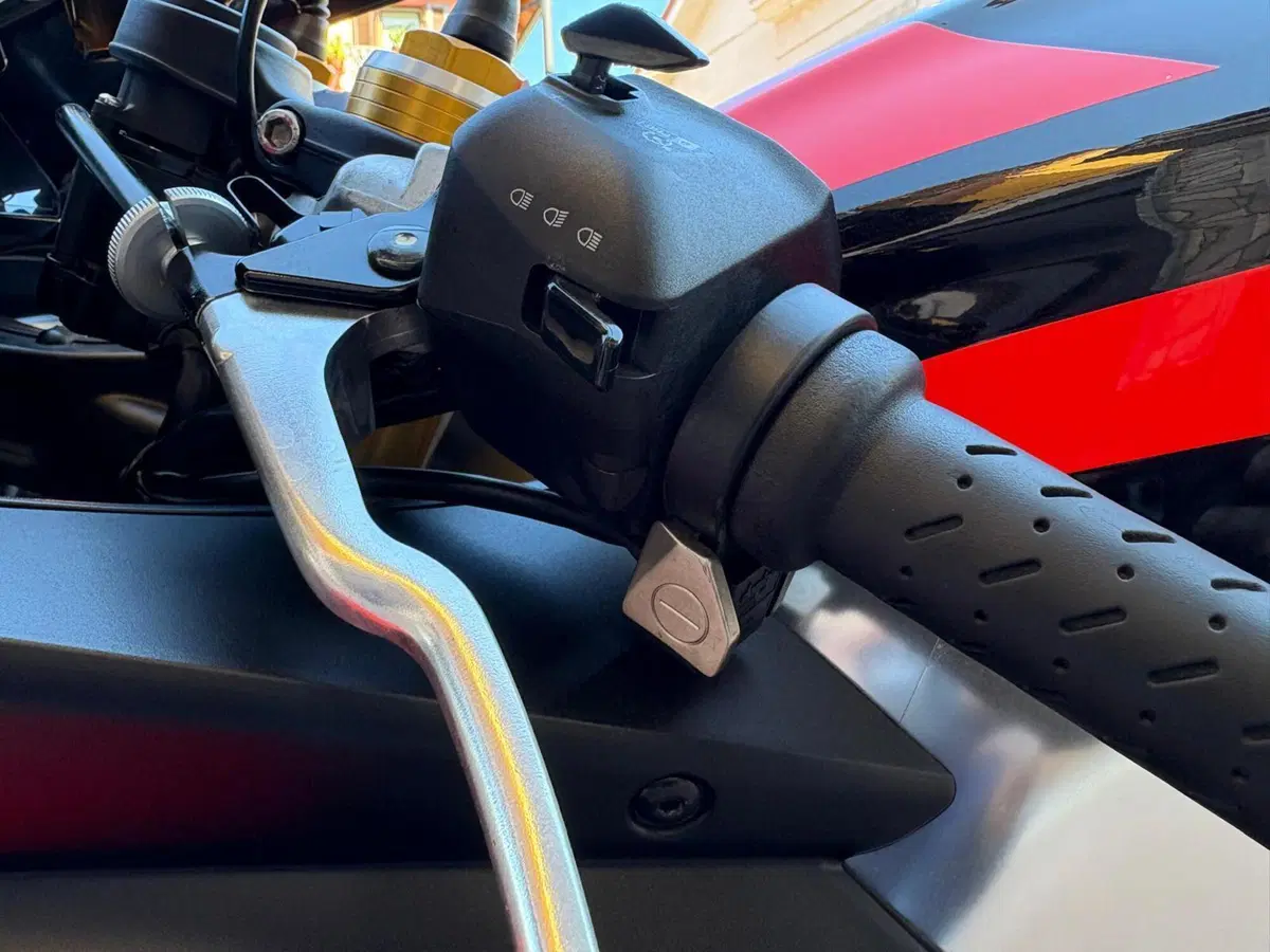 Aprilia RSV4 1100 Factory (2021 - 24) (20)