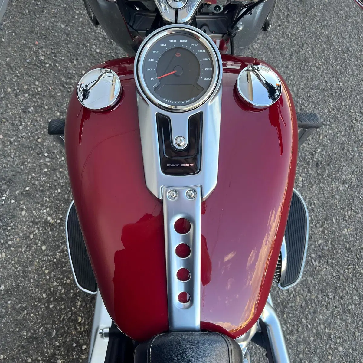 Harley-Davidson 114 Fat Boy (2018 - 20) - FLFBS (14)