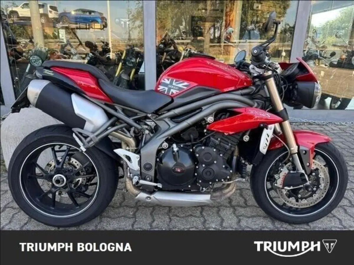Triumph Speed Triple 1050 S ABS (2016 - 17) (2)