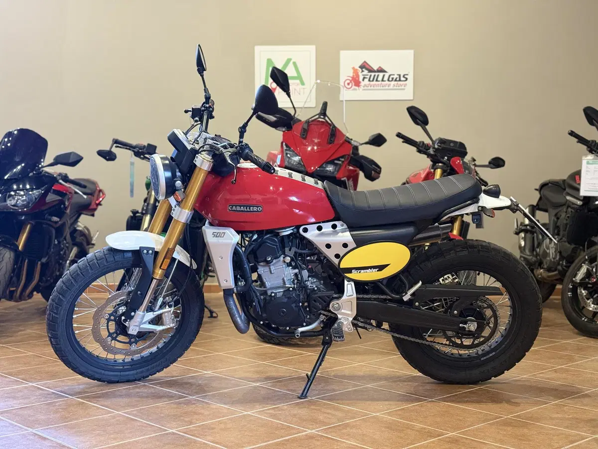 Fantic Motor Caballero 500 Scrambler 4T (2018 - 21) (4)