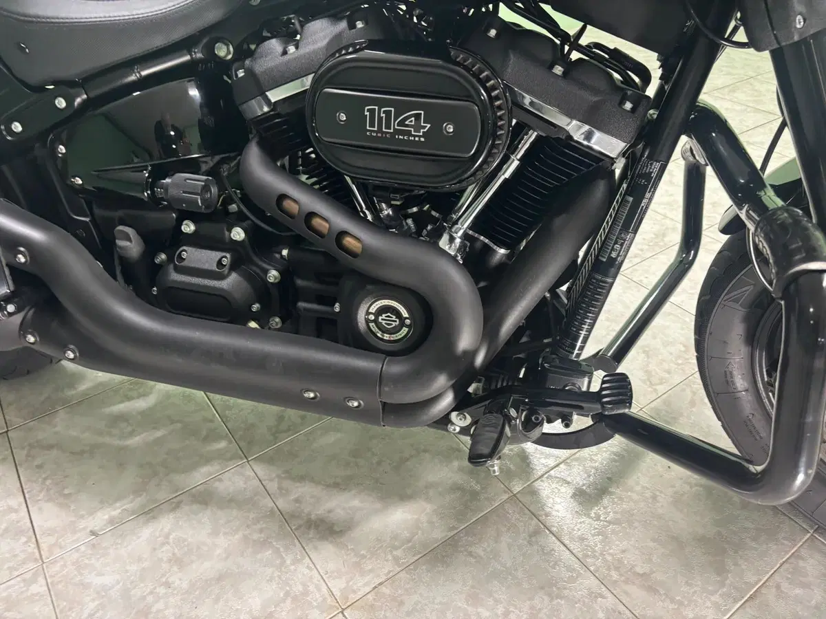 Harley-Davidson 114 Fat Bob (2018 - 20) - FXFBS (7)