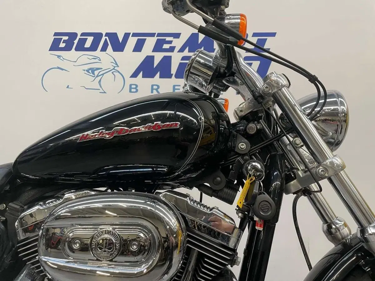 Harley-Davidson 1200 Custom (2007 - 13) - XL 1200C (4)