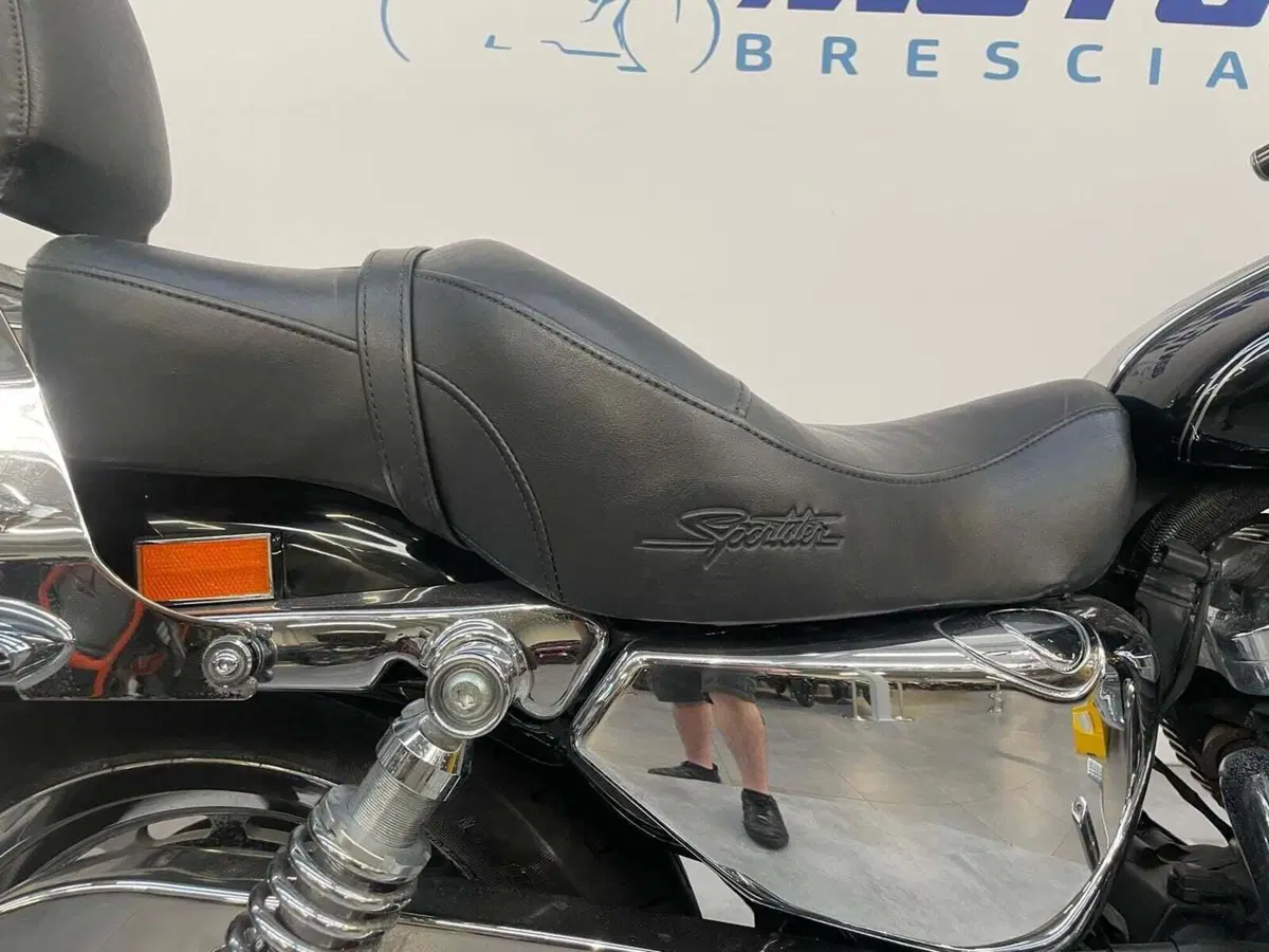 Harley-Davidson 1200 Custom (2007 - 13) - XL 1200C (5)