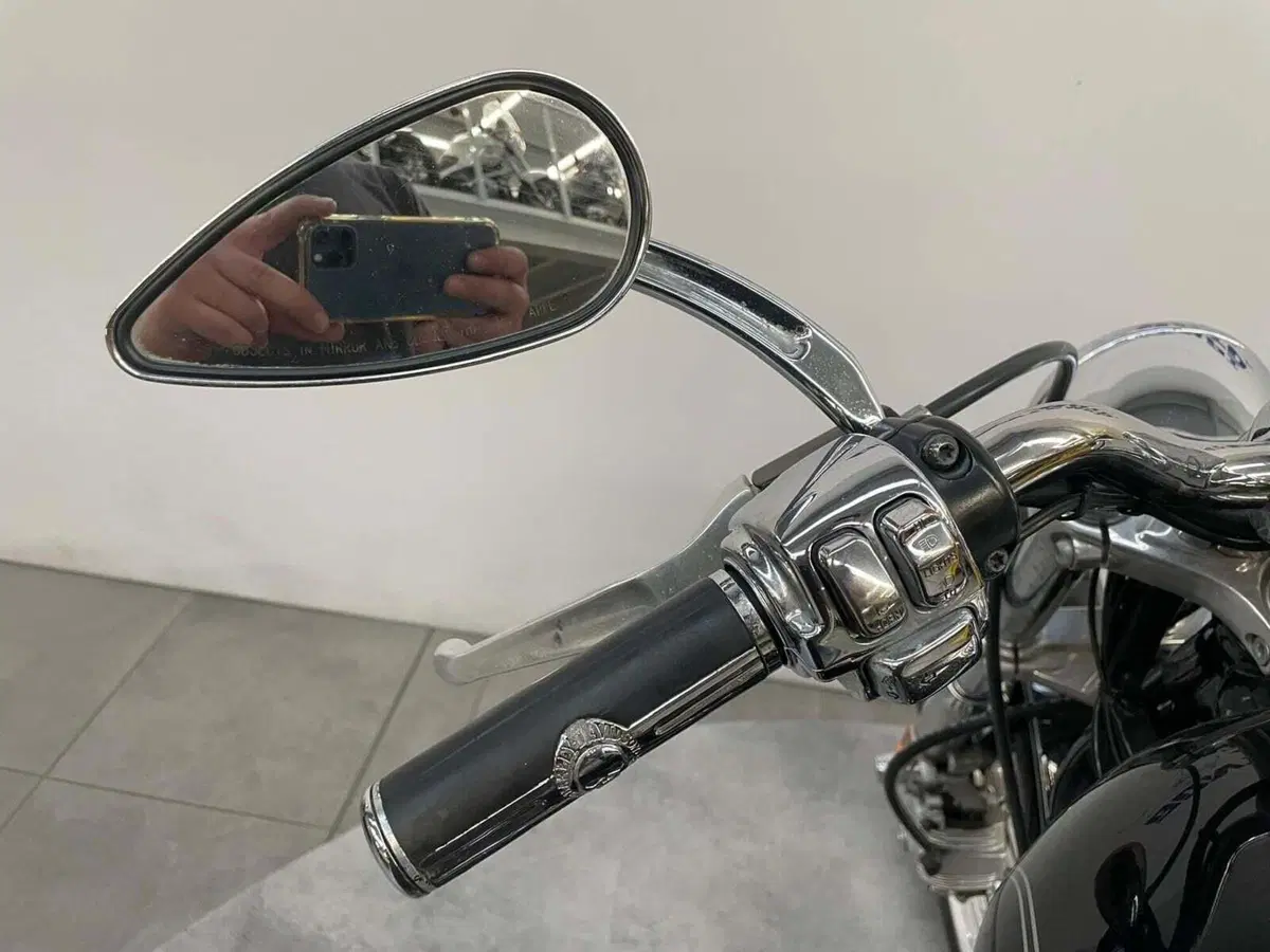 Harley-Davidson 1200 Custom (2007 - 13) - XL 1200C (10)