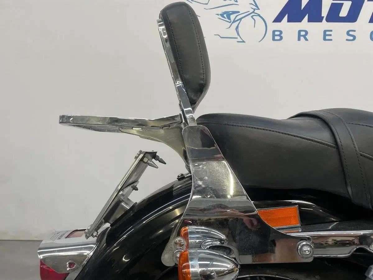Harley-Davidson 1200 Custom (2007 - 13) - XL 1200C (15)
